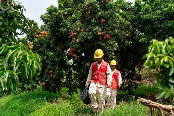 電力員工對用電設施進行“體檢”。國網重慶永川供電公司供圖