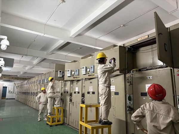 電力員工對電網設備進行巡檢。國網重慶永川供電公司供圖