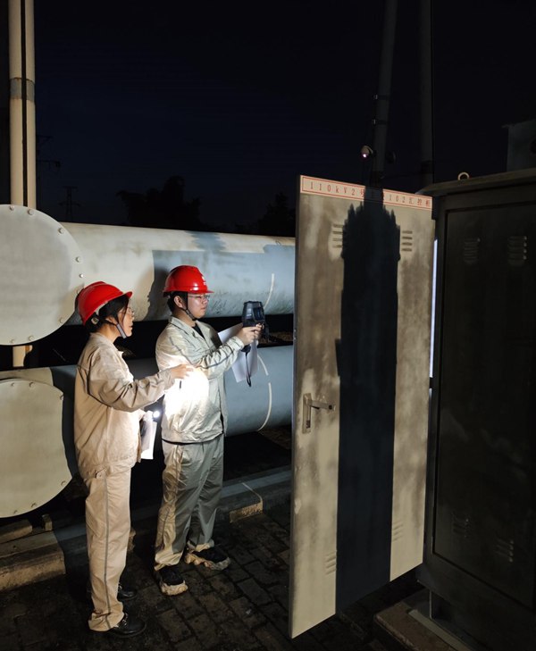 電力員工對電網設備進行巡檢。國網重慶永川供電公司供圖