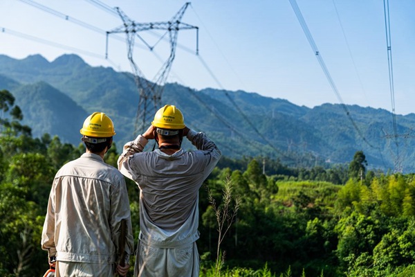 電力員工對電網設備進行巡檢。國網重慶永川供電公司供圖