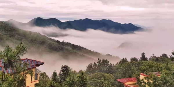 南川康養地產項目實景圖。重慶市房地產業協會供圖