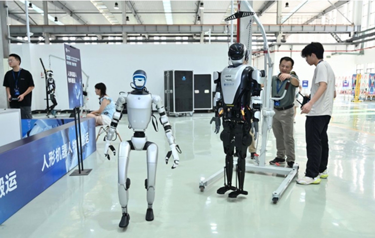 比賽現場。主辦方供圖