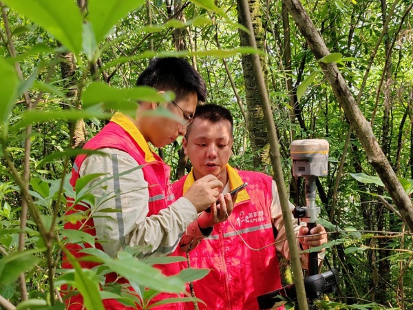 國網重慶經研院設計中心員工正在成渝中線高鐵牽引站供電線路勘測現場討論塔基定位。程婧雪攝