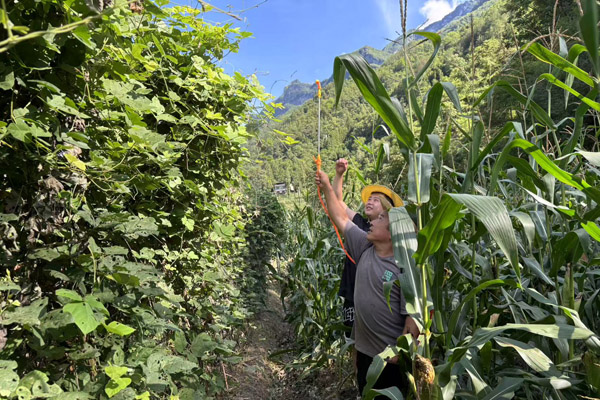 團隊成員指導種植戶噴施葉面肥。重慶工程職業技術學院供圖
