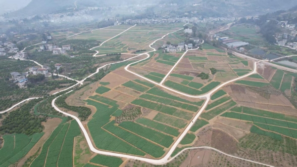 奉節縣羊市鎮全力推進高標準農田建設。羊市鎮供圖