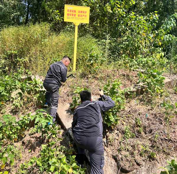 烈日下，王志剛與隊員巡查管線。重慶燃氣集團供圖