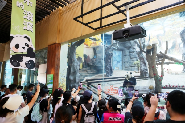 生日會現場，游客紛紛舉起手機、相機拍照記錄國寶軟萌瞬間。陳仕川攝