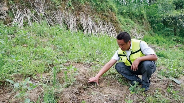 勝地社區3組網格員向業勤開展雨后地災巡查。汪艷虹攝