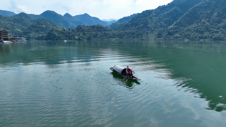 “河小青”志愿者們正在酉水河清漂。邱洪斌攝
