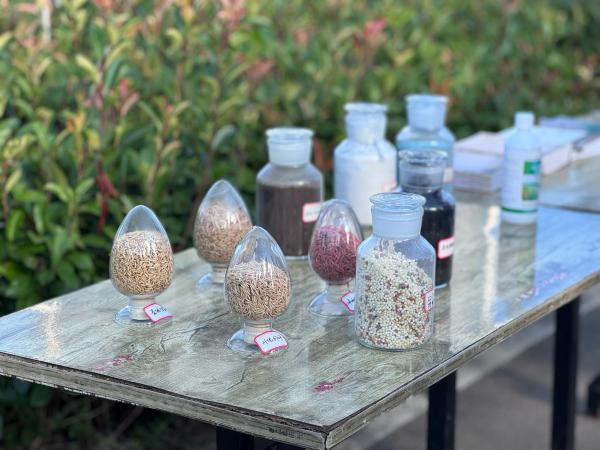 梁平糧油科技小院的選種展示。黃亞輝攝