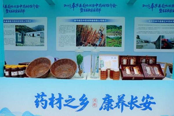 簽約儀式現場。主辦方供圖