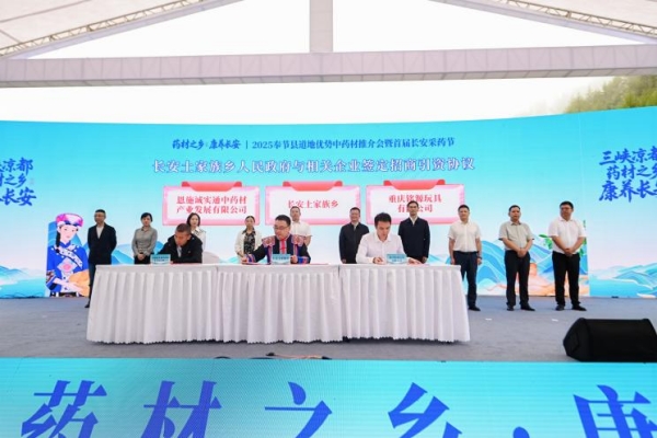 活動現場。主辦方供圖