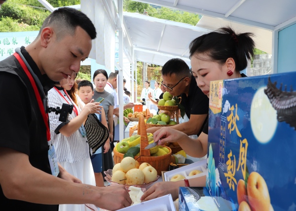 市民品嘗巫山脆梨。巫山縣融媒體中心供圖