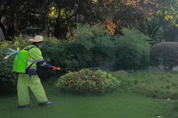 綠化帶等重點區域正在進行消殺作業。杜科攝