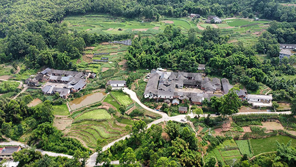 江津區中山鎮白鶴村白鶴林。重慶市住房城鄉建委供圖