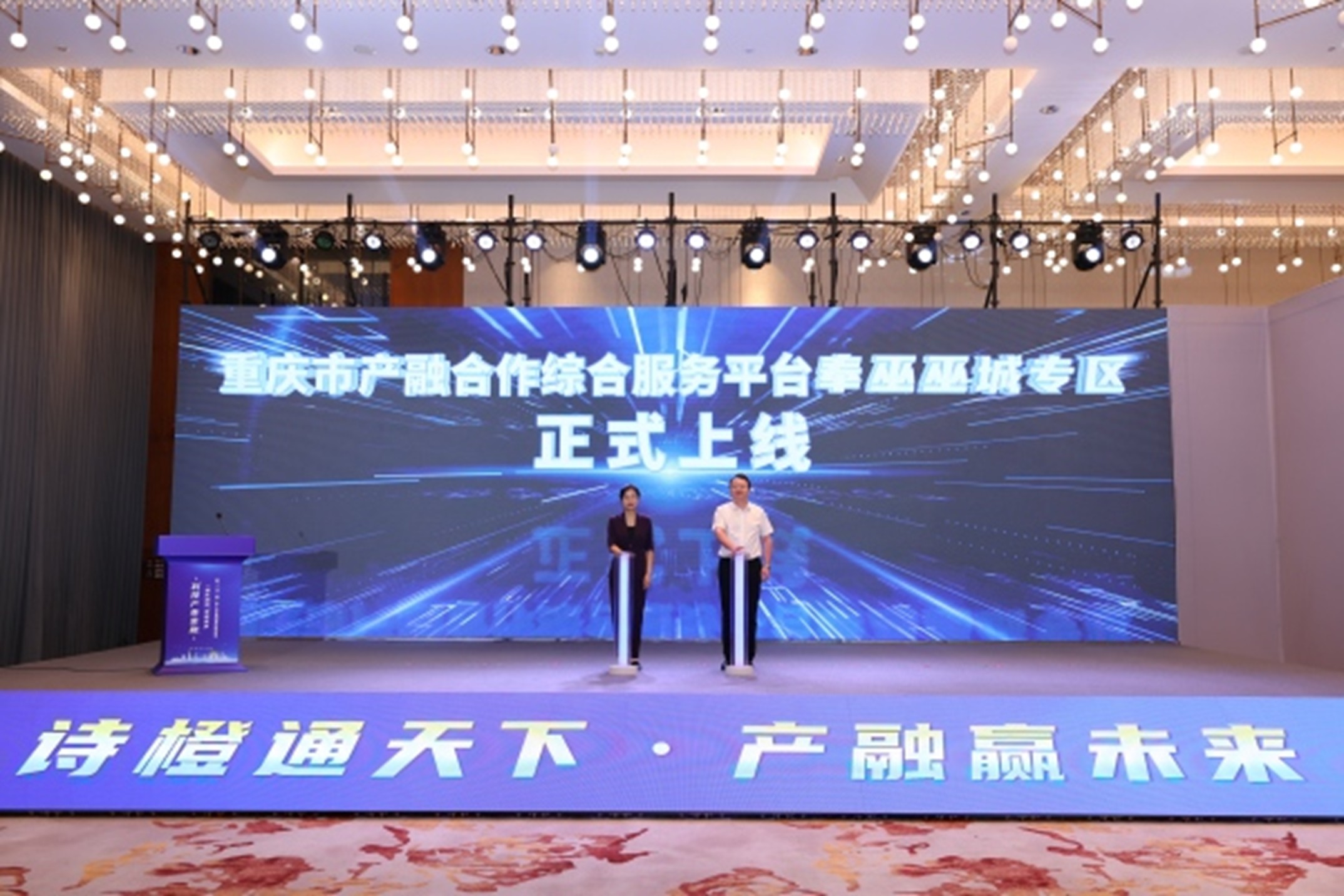 重慶市產融合作綜合服務平臺奉巫巫城專區正式上線。主辦方供圖