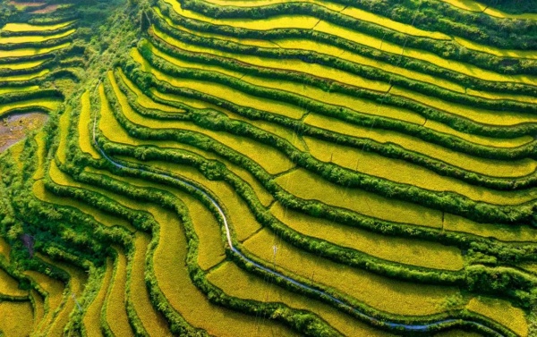 河壩村貢米梯田。秀山縣委宣傳部供圖