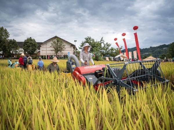 活動現場。王傳貴攝