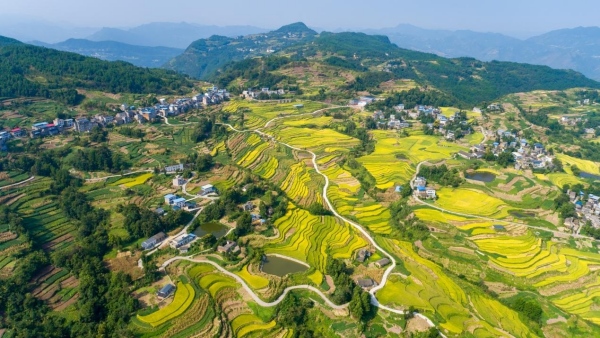 奉節鄉村美景。王傳貴攝