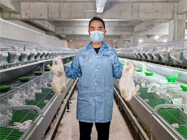 萬興村標準化兔場。羊市鎮供圖