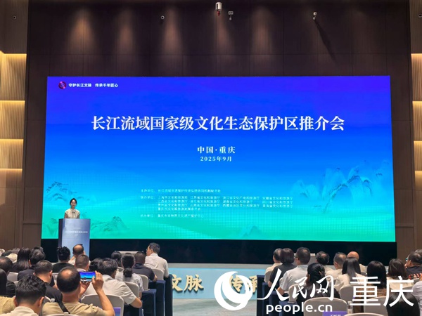 推介會現場。人民網記者 馮文彥攝