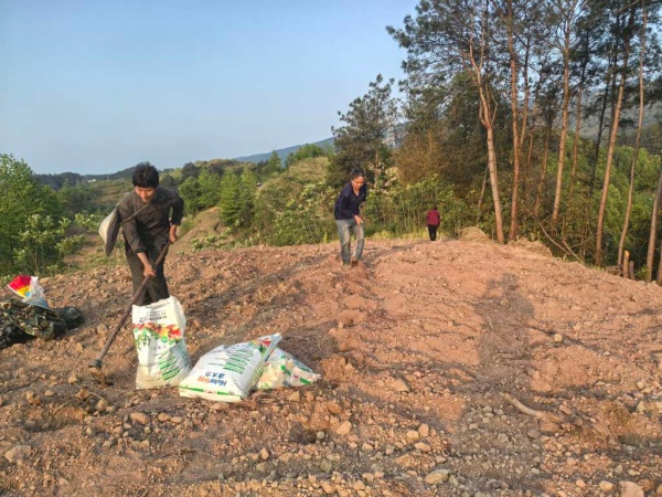 村民正在整治荒地。龔安鵬攝