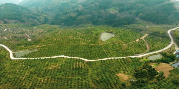 富民村新貌。受訪者供圖