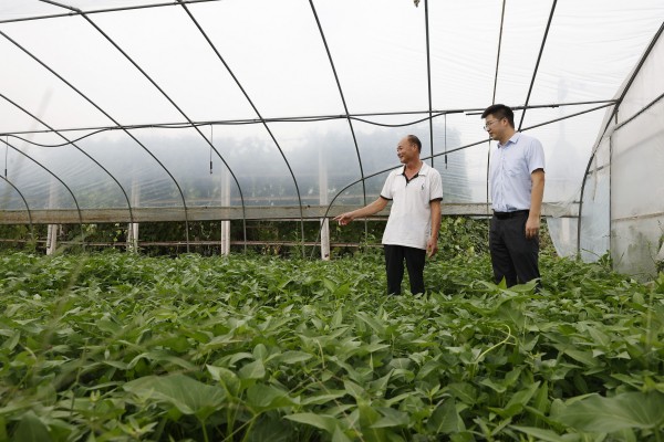 農行工作人員到合作社了解情況。鄒雨璠攝