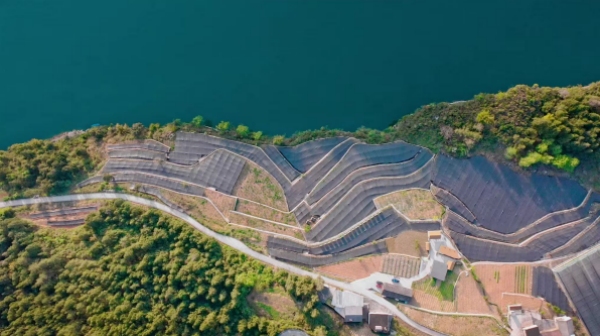 “苗藥谷” 一角。彭水融媒體中心供圖