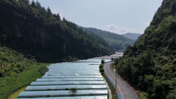 現代化大棚。彭水融媒體中心供圖