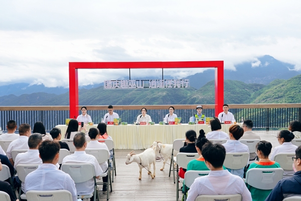 發布活動現場。巫山縣委宣傳部供圖