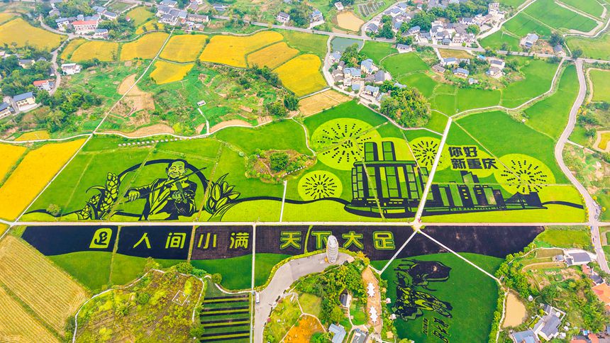 拾萬鎮長虹村隆平五彩田園。受訪者供圖