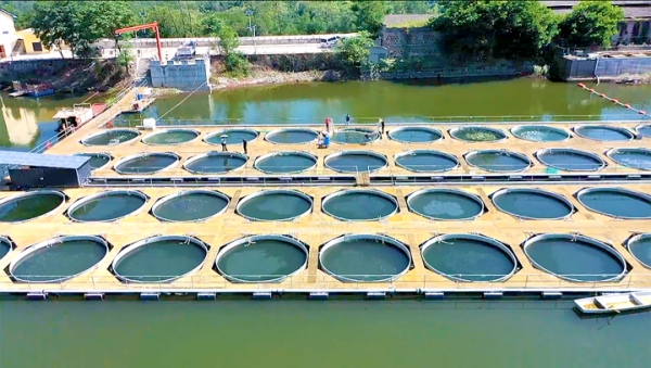 豐都硒鍶魚養殖區。杜宏超攝