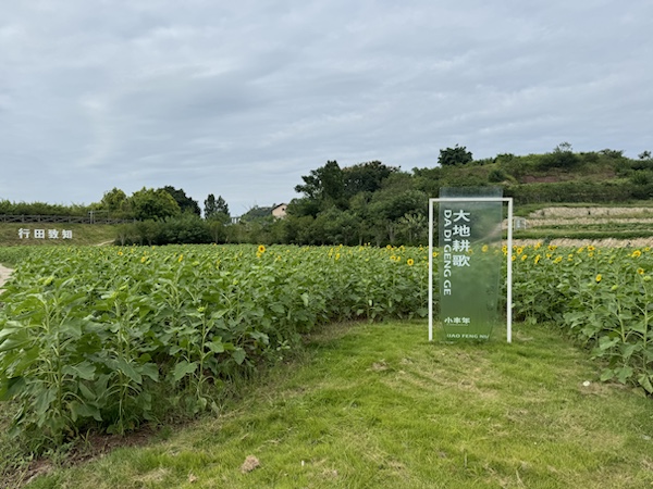 柳蔭鎮東升村小豐年“大地耕歌”主題研學基地。胥世鵬攝