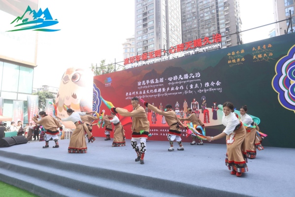 推介會現場。主辦方供圖