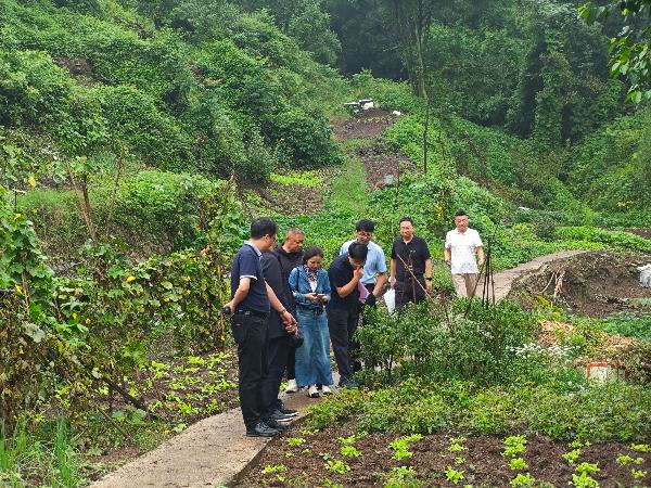 政協委員們深入調研。廖秀明攝