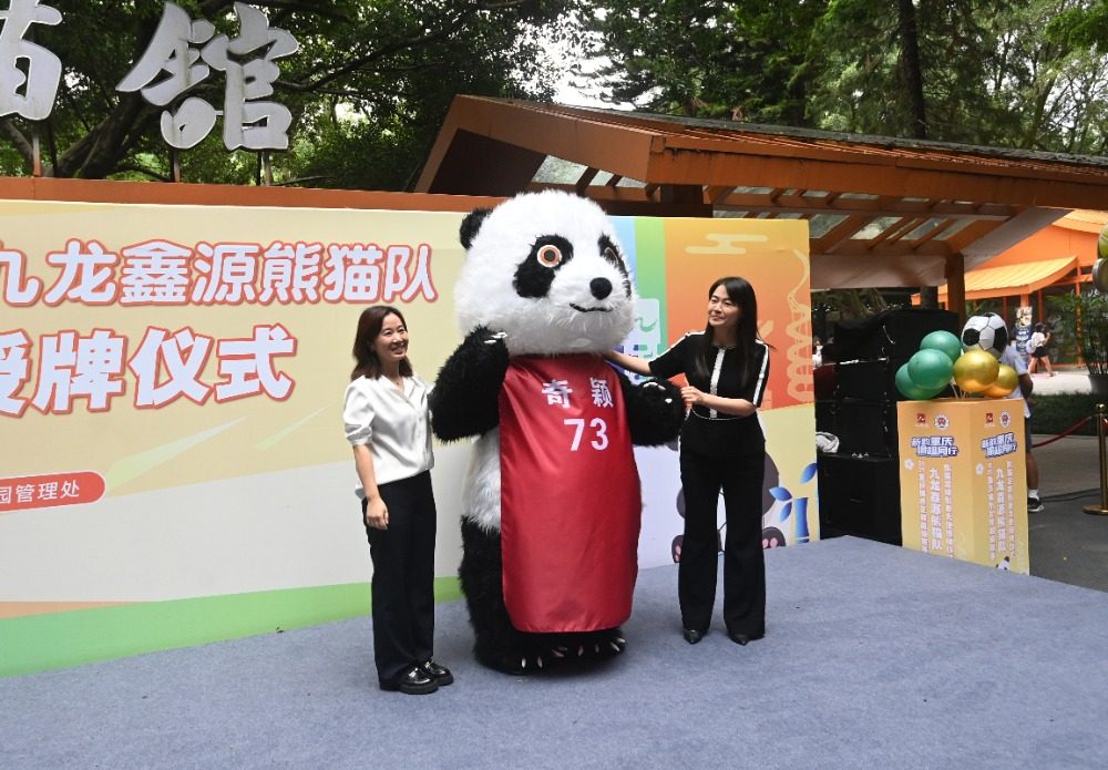2025年9月29日，重慶動物園，大熊貓“奇穎”的球衣。記者 鄭宇 攝/視覺重慶