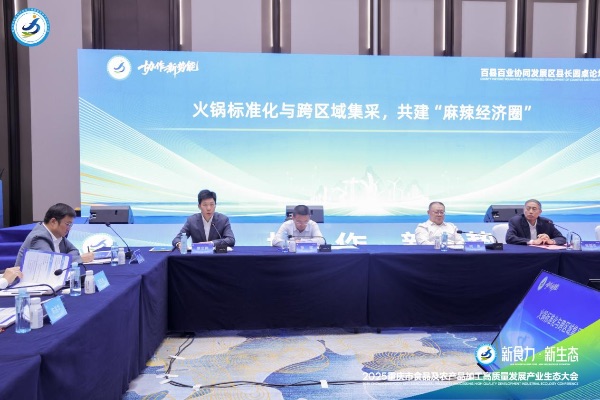 2025百縣百業協同發展區縣長圓桌論壇現場圖。主辦方供圖