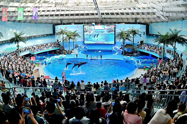 老友出行計劃。東原仁知供圖