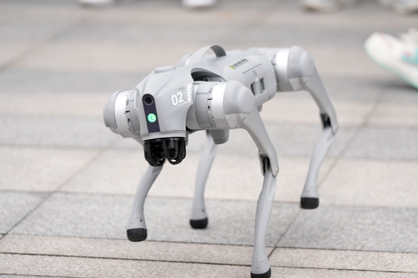 學校舉辦科技節活動。西南大學附中供圖