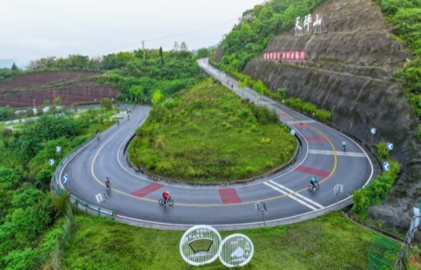 往屆賽事資料圖。劉紀湄攝