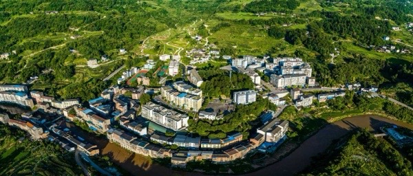 中峰鎮全鎮森林覆蓋率達73.6%。受訪單位供圖