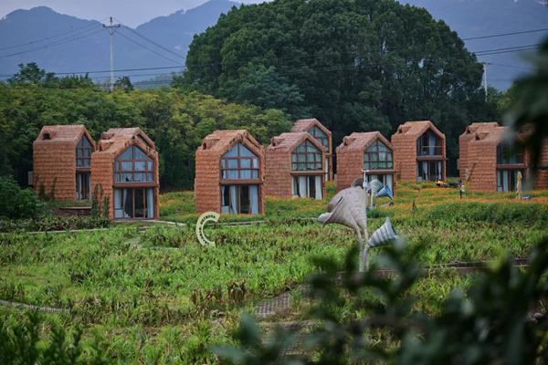 將軍村掠影。主辦方供圖