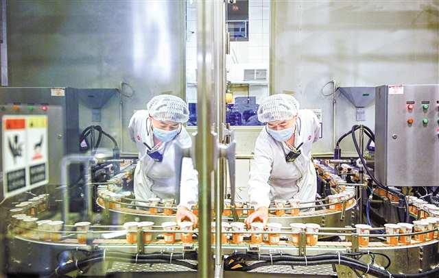 天友乳業生產車間，全自動利樂冠灌裝機前，工作人員在查看產品品質。（資料圖片） 記者 萬難 攝視覺重慶