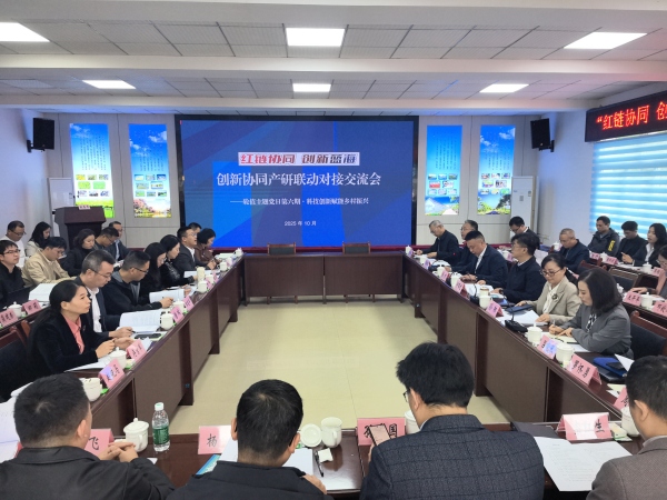 交流會現場。主辦方供圖