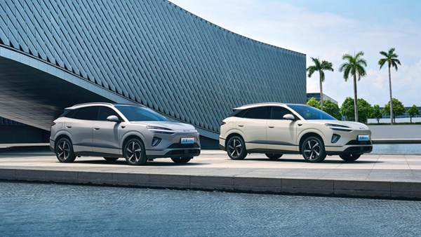 海獅06。受訪者供圖