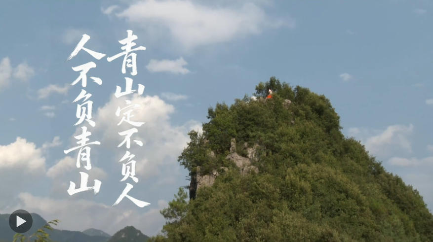 崖柏重生，生生不息