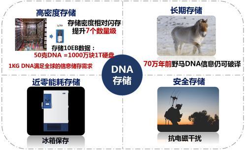 DNA存儲技術及其優勢示意圖。西研院供圖